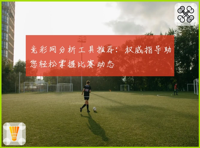 竞彩网分析工具推荐：权威指导助您轻松掌握比赛动态
